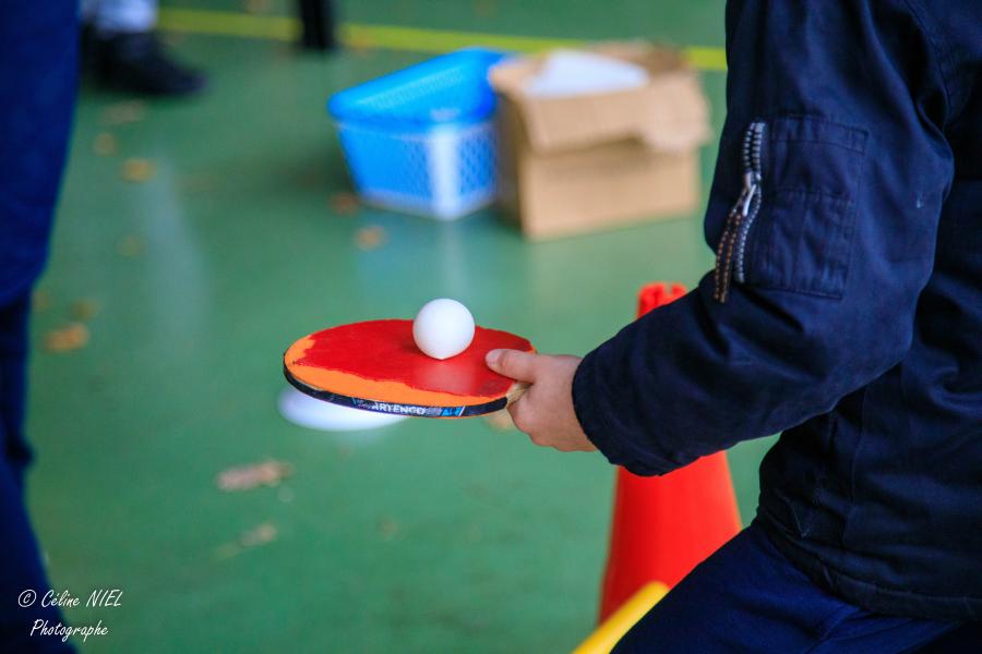 INITIATION TENNIS DE TABLE